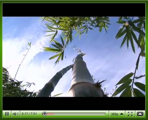 Bambu na TV - Programa Mosaico 